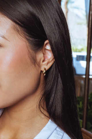 Gold Plated Earrings